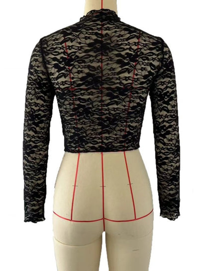 Sheer Lace Long Sleeve Crop Top