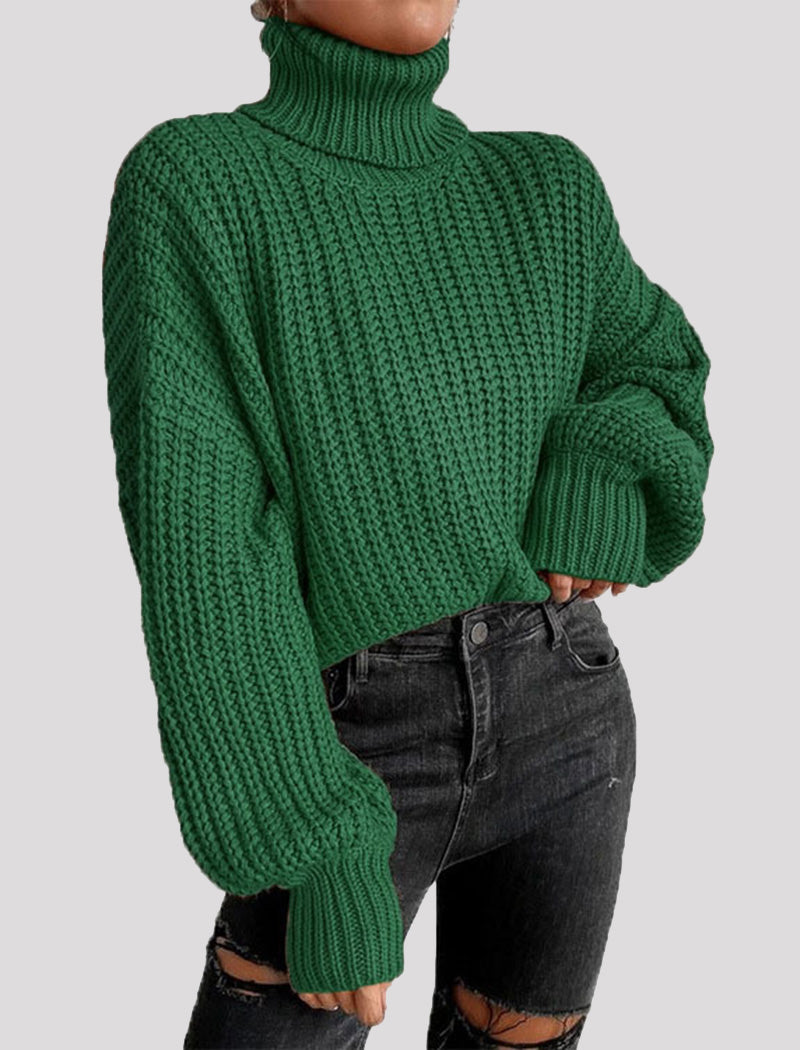 Chunky Turtleneck Knit Sweater