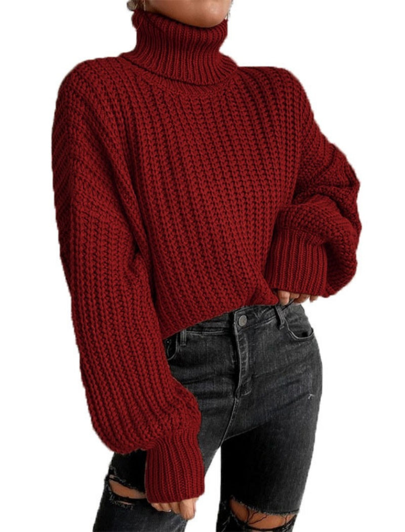 Chunky Knit Turtleneck Sweater