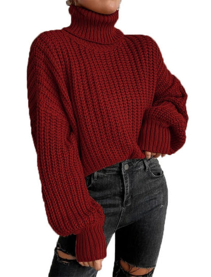 Chunky Knit Turtleneck Sweater