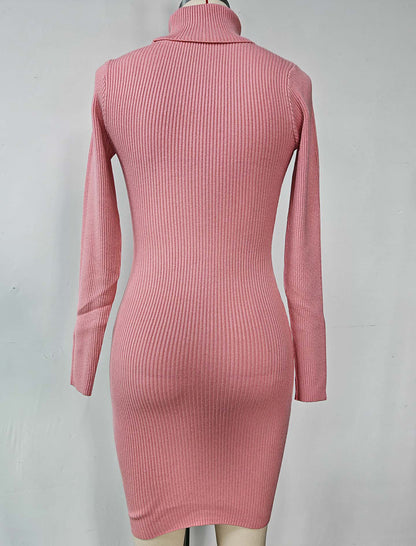 Ribbed Turtleneck Bodycon Dress