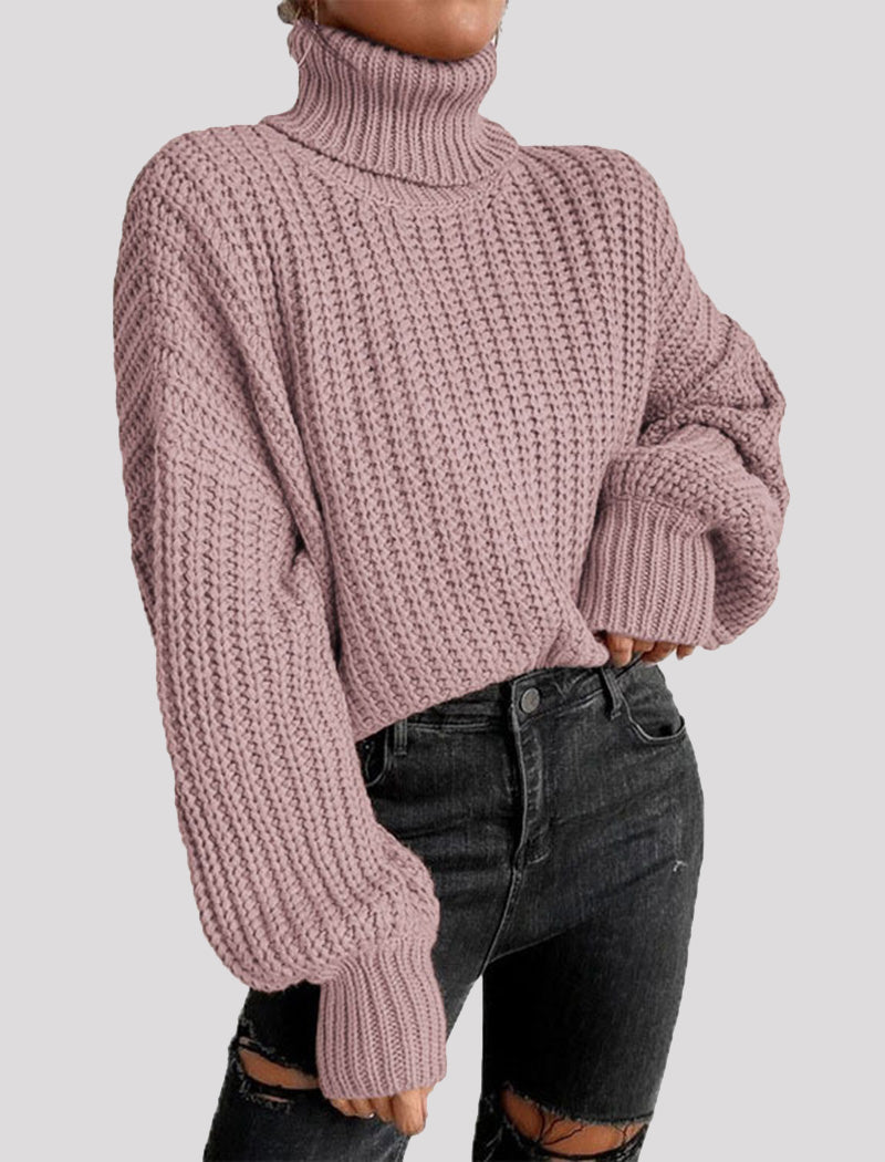 Chunky Turtleneck Knit Sweater