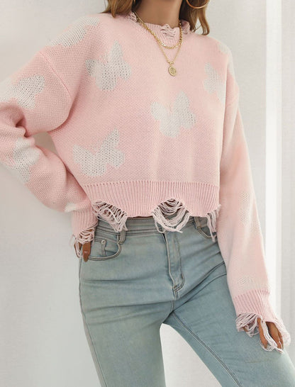 Butterfly Knit Sweater with Lace Trim