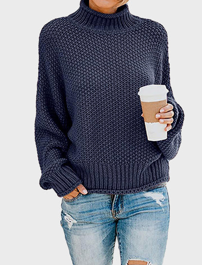 Chunky Knit Turtleneck Sweater