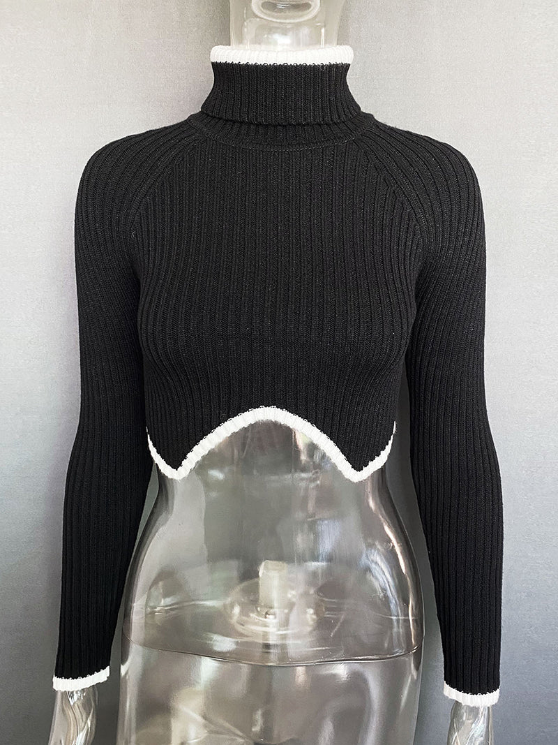 Cropped Turtleneck Sweater