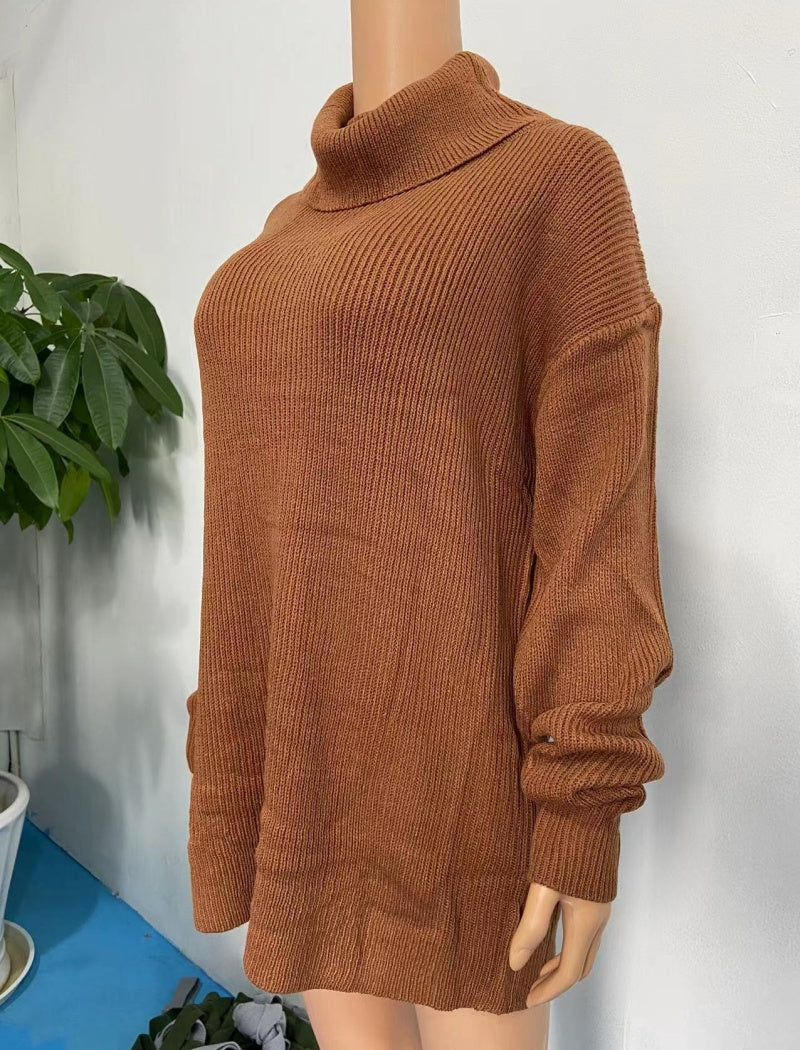 Oversized Turtleneck Knit Sweater