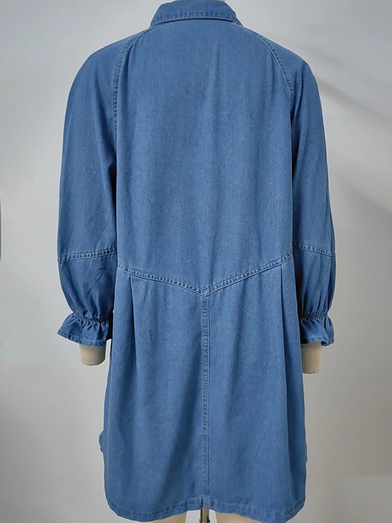 Button-Down Long Sleeve Denim Dress