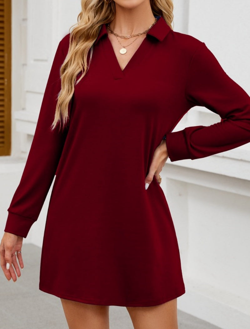 Long-Sleeve Polo Collar Mini Dress