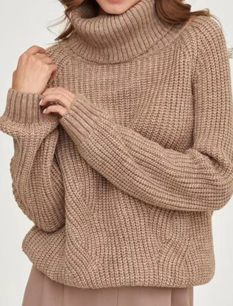 Cozy Ribbed Turtleneck Sweater