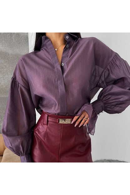 Elegant Puff Sleeve Blouse