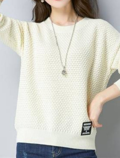 Textured Crew Neck Casual Knit Sweater