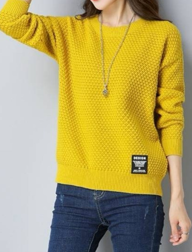 Textured Crew Neck Casual Knit Sweater